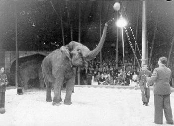 Historische Aufnahme aus dem Werner-Winter-Archiv