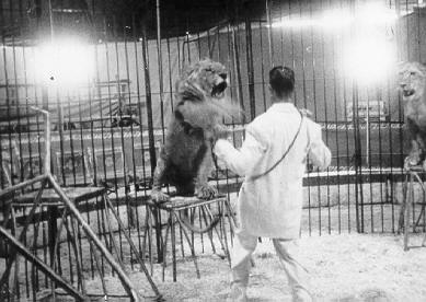 Historische Aufnahme aus dem Werner-Winter-Archiv