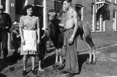 Historische Aufnahme aus dem Werner-Winter-Archiv