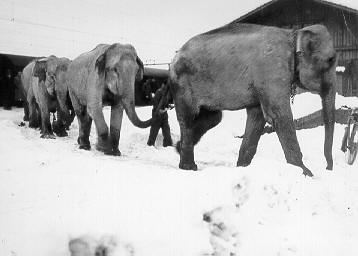 Historische Aufnahme aus dem Werner-Winter-Archiv