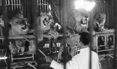 Historische Aufnahme aus dem Werner-Winter-Archiv