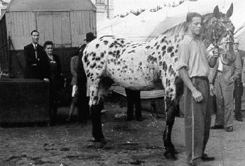Historische Aufnahme aus dem Werner-Winter-Archiv