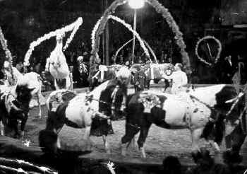 Historische Aufnahme aus dem Werner-Winter-Archiv