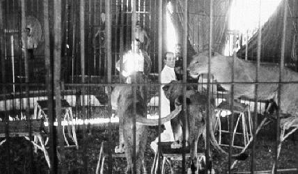 Historische Aufnahme aus dem Werner-Winter-Archiv