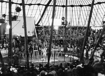 Historische Aufnahme aus dem Werner-Winter-Archiv