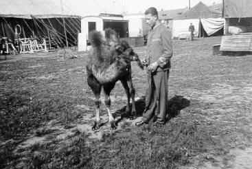 Historische Aufnahme aus dem Werner-Winter-Archiv