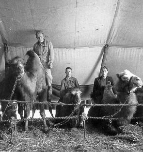 Historische Aufnahme aus dem Werner-Winter-Archiv