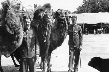 Historische Aufnahme aus dem Werner-Winter-Archiv