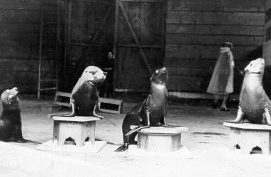 Historische Aufnahme aus dem Werner-Winter-Archiv