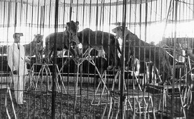 Historische Aufnahme aus dem Werner-Winter-Archiv