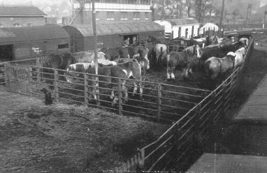 Historische Aufnahme aus dem Werner-Winter-Archiv