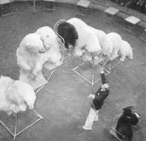 Historische Aufnahme aus dem Werner-Winter-Archiv