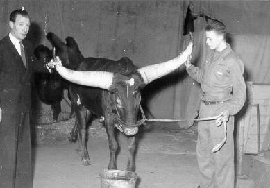 Historische Aufnahme aus dem Werner-Winter-Archiv