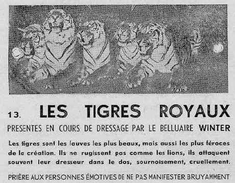 Historischer Presseartikel