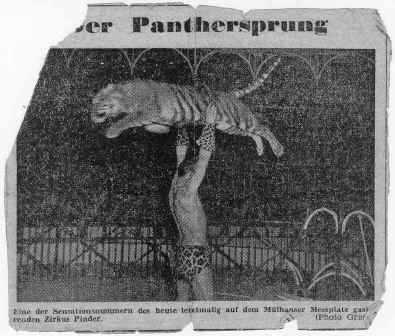 Historischer Presseartikel