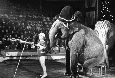 Historische Aufnahme aus dem Werner-Winter-Archiv